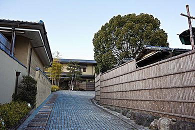 《宝可梦：朱紫》新活跃事件 海地鼠卡蒂狗等大量出现